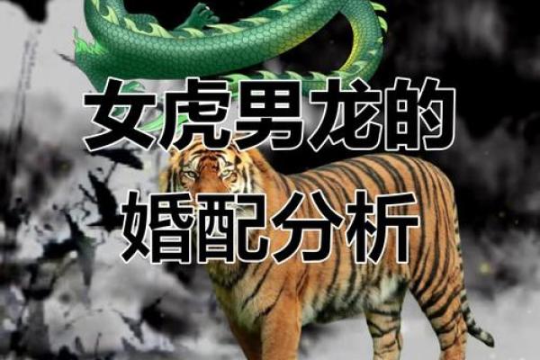 属龙的女人和什么属相最配对 属龙的女人和什么属相最配婚姻