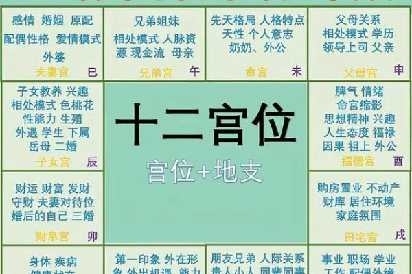 紫薇斗数几颗朱星