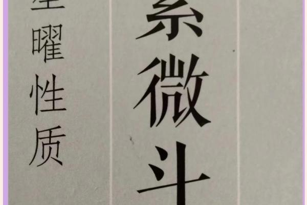 紫微斗数置闰 紫微斗数术语？