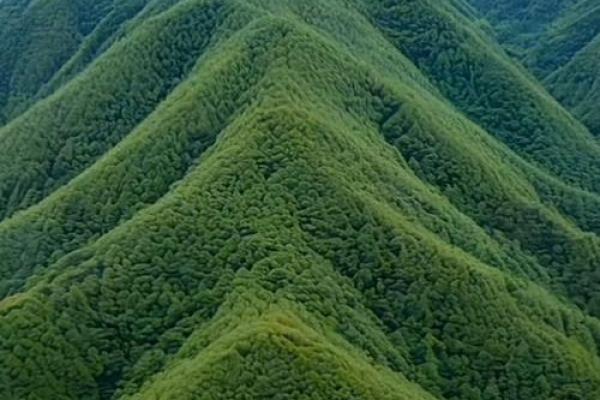 风水宝地：理想的风水地