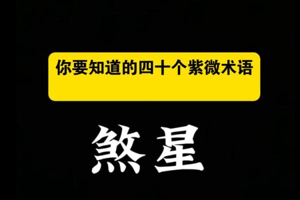 紫薇斗数吉星煞星
