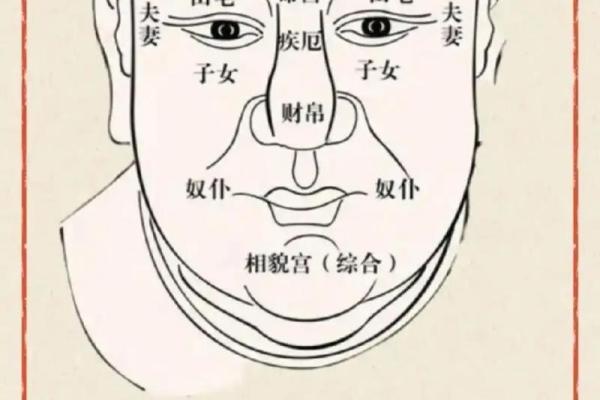 紫薇斗数紫薇入命宫