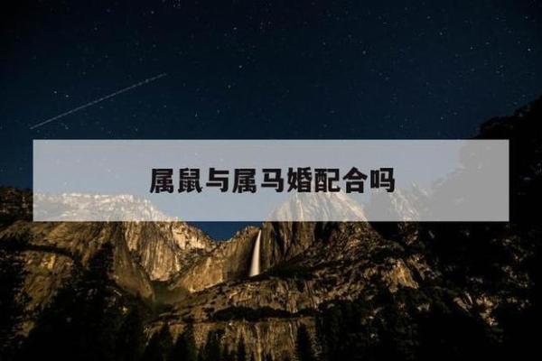 90属马人和96属鼠人配对  两人可以结婚吗