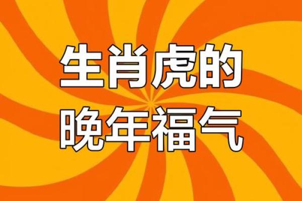 生命灵数配对哪些生肖幸福