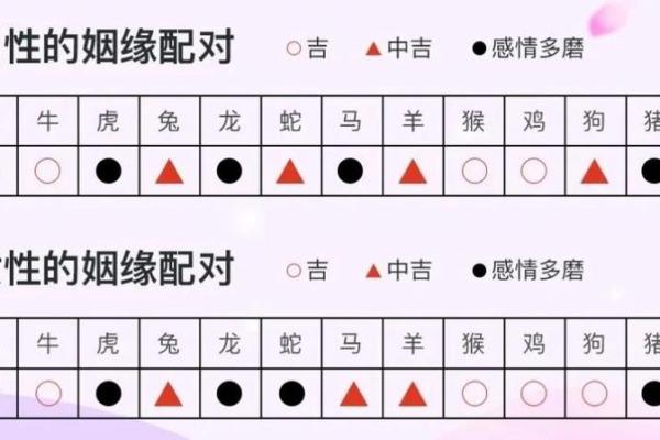 19岁属什么生肖配对 属蛇配对