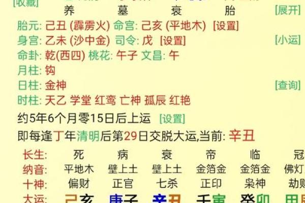 八字身旺财杀两透