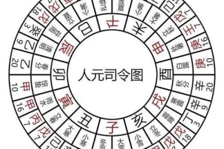 八字-人元（论地支遁藏即地支藏干）