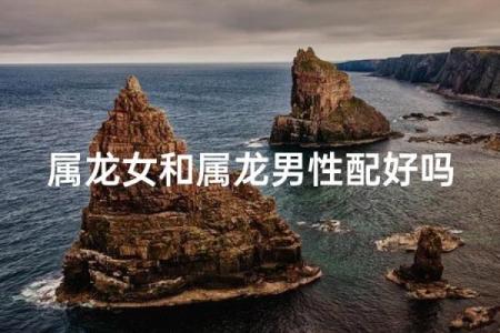 属龙的女人和什么属相最配对 属龙的女人和什么属相最配婚姻