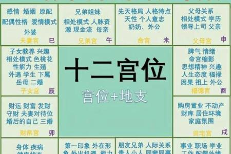 紫薇斗数几颗朱星