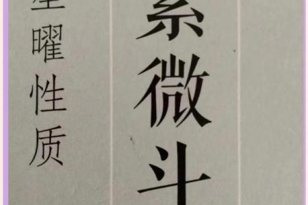 紫微斗数置闰 紫微斗数术语？