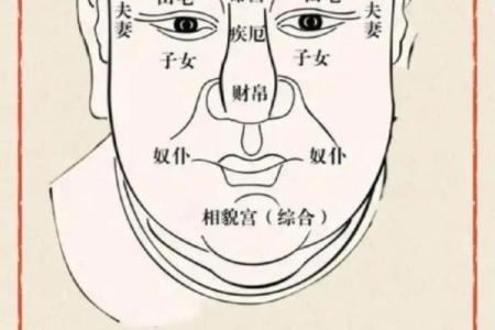 紫薇斗数紫薇入命宫