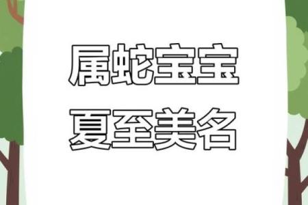 2021年夏至出生缺木男孩名字推荐,怎么取名好姓名
