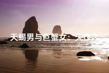 天蝎女和什么星座男最适合结婚