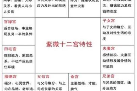 紫微排盘,紫微斗数怎么看自己的才华