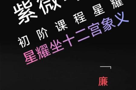紫微斗数里的禄是什么意思 紫薇禄存星？