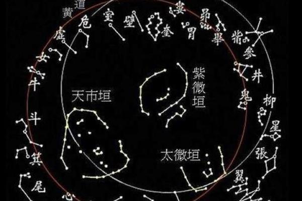 紫薇斗数子时怎么确定