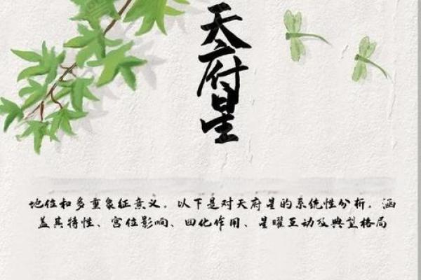 紫薇斗数之天府