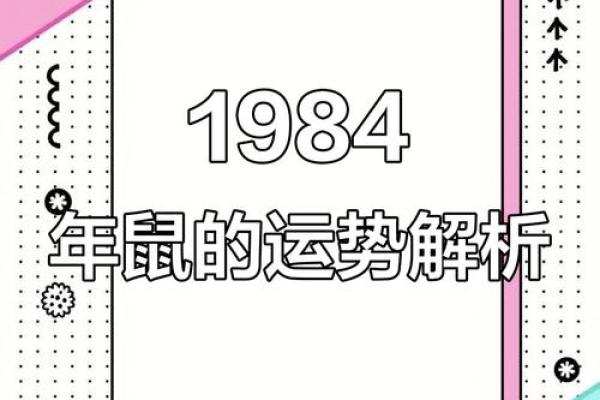 属鼠B血型的人性格与事业姻缘
