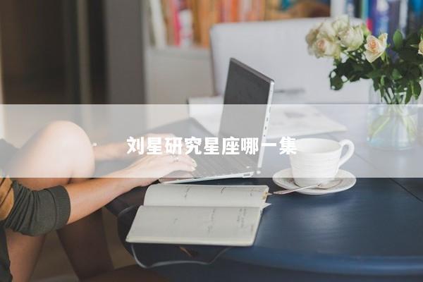 刘星研究星座哪一集