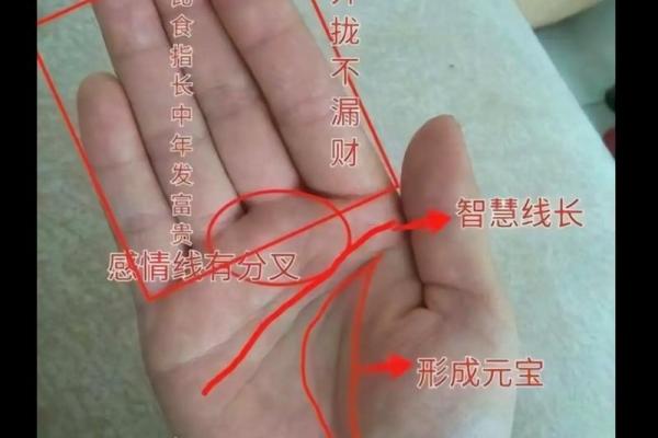 看手相算命图解：掌线
