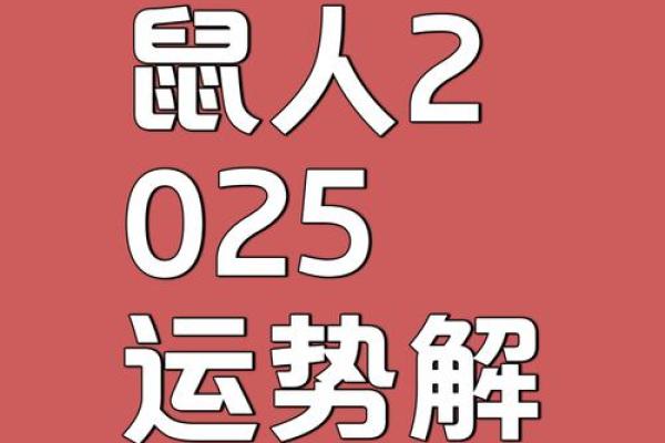 属鼠O血型的人性格与事业姻缘