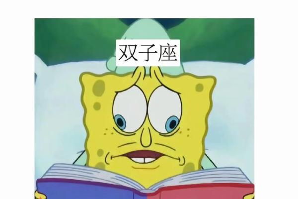 陶白白讲星座双子座运势