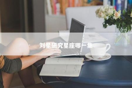 刘星研究星座哪一集