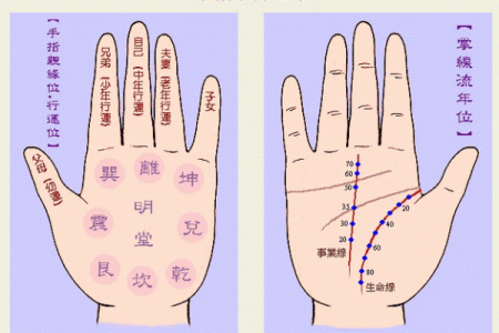 看手相算命图解：掌线