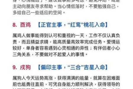 属鼠O血型的人性格与事业姻缘