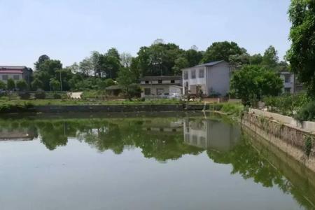 马云：我迷信风水，对风水认识