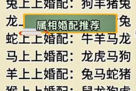 姓名婚姻配对玩具图片大全 姓名配对结婚？