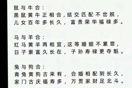 生肖婚姻更佳配对表大全