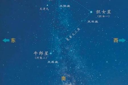 牛郎织女是什么星座