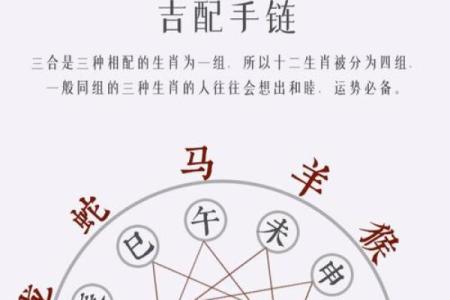 属相不合星座合在一起好吗