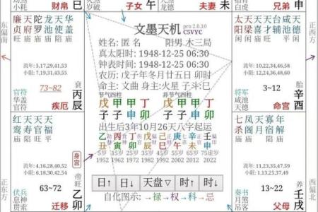 解紫薇斗数