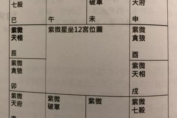 紫微斗数方外人 紫微斗数方外人同步断诀？