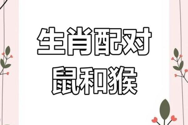属猴的女人和什么属相最配对 属猴的女人和什么属相最配婚姻