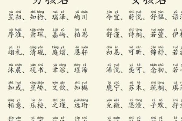 2020年腊月二十八出生男孩缺土新颖好听名字精选姓名