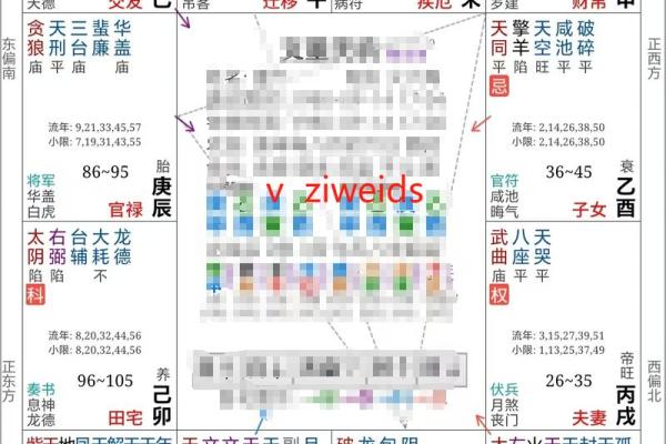 什么紫薇斗数的人适合去大城市发展