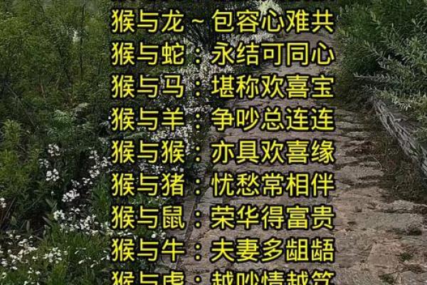 属猴的和属蛇的配对是否合适