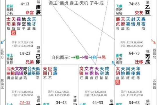 紫微斗数术语解释之：格局