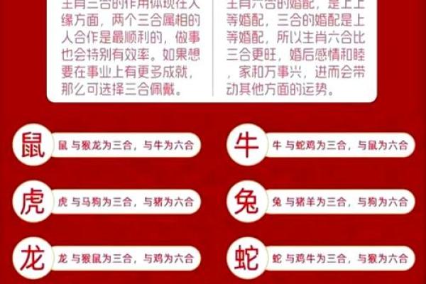 八字合冲