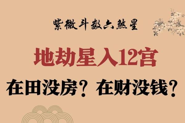 紫薇斗数大财禄