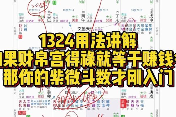 紫薇斗数大财禄