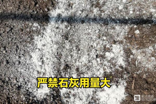 生石灰风水讲究