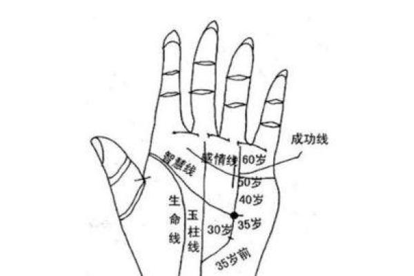 手相图解大全女右手算命 看手相算命图解女性右手