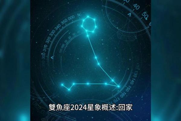 星座2024运势图