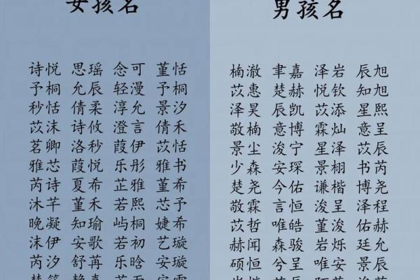 2019年3月21号子时出生的男孩应该起什么样的名字姓名