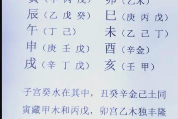八字信息解析教程，让你轻松掌握八字学问