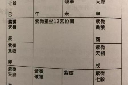 紫微斗数方外人 紫微斗数方外人同步断诀？